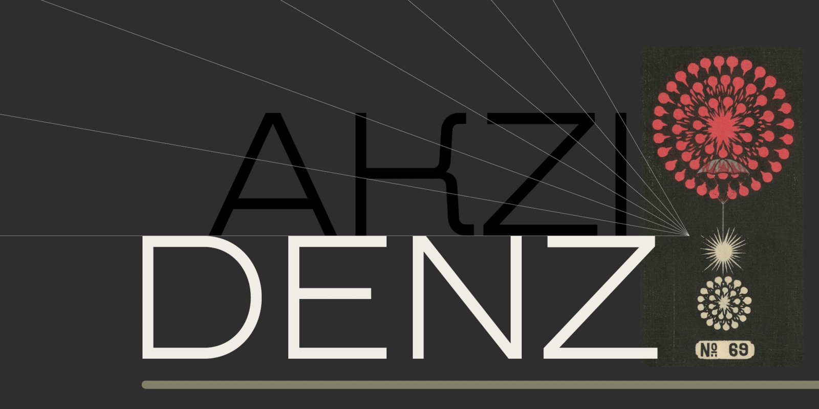 Denz by ParaType
